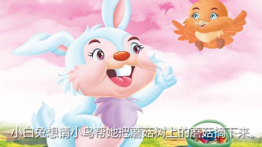 兔子和小松鼠_250字