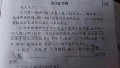 秋天在家乡_600字