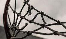 青春，你本能这样_500字