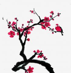 非花_500字