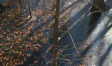 必须跨过这道坎_1000字