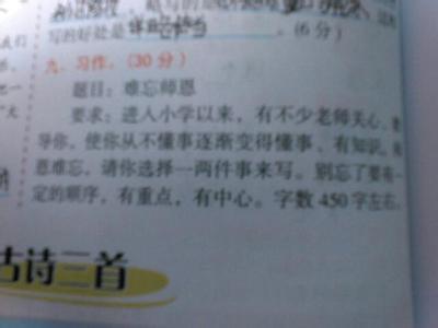令人难忘的2013_300字