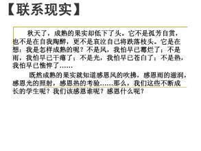 关于成熟组成：成熟的解释_1200字