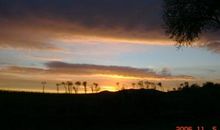 故乡的早晨_200字