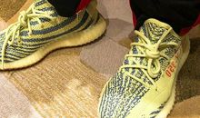 我爱故乡的椰子_500字