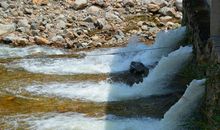 故乡情结_2000字