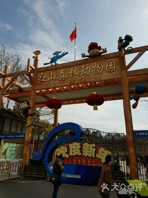 旅游宏山森林Zoo_300字