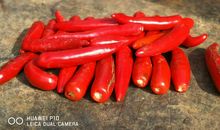 因为有你而精彩_600字