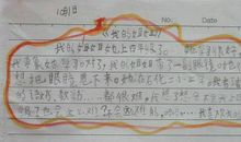 我的姐姐_350字