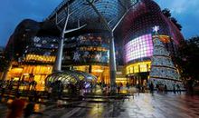 新加坡旅游_900字