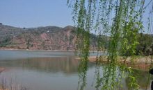 成都龙泉宝狮湖捉蟹记 _550字