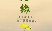 成熟？不，那是自以为是_800字