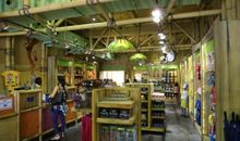 我的成熟，故地重游_650字