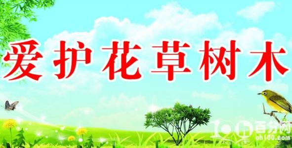什么是春天？_100字