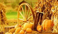 [六月征文]欢乐的颂，欢乐的送_900字