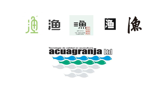 寻找和方向_1000字
