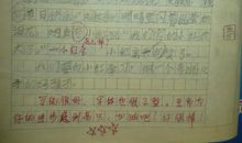 三年级看图作文：两颗鸡蛋_350字