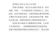 三年级看图作文：受伤的小鸟_350字