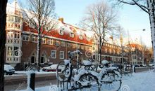 [2015新年心愿]渴望回家乡，只为一场雪_1200字