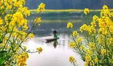 别等花落了，才知道珍惜_750字