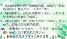 三年级想象作文：假如我是春雨_400字