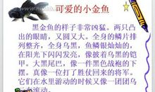 三年级想象作文：我想发明多功能笔_400字