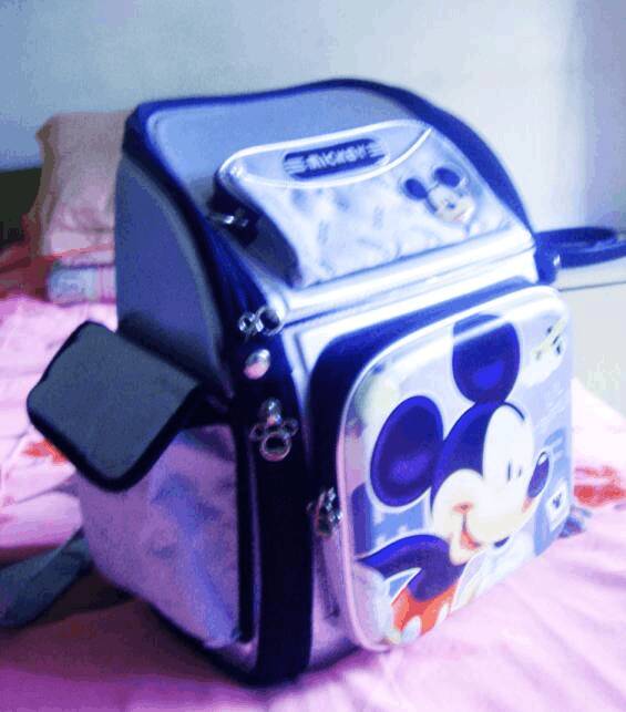 三年级想象:学校包_350字