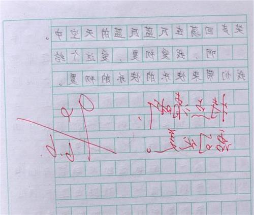 三年级的想象力：去国家的孩子_700字