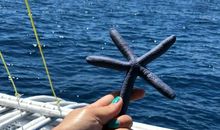 夏日，与薄荷邂逅（第一章）邂逅_1500字