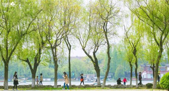 [春天即将到来]春天旋律_700字