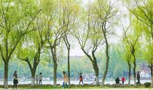 [春天来了]春的旋律_700字