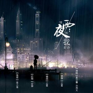 雨夜_300字