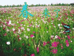 [春天即将到来] Spring _350字