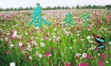 [春天来了]春_350字