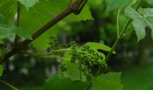 [春天来了]春天里_650字