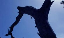 生命的启迪_650字