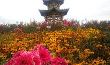 关于享受的作文：夜间听雨，也是一种享受_600字