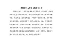 2019小学教师实习心得体会三_1200字