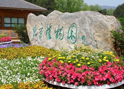 种植花园_400字