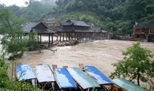 从凤凰身边来的