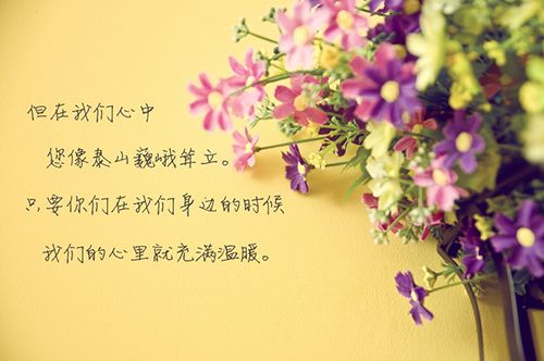 关于老师的美丽句子_450字