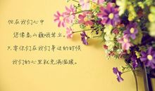 关于感谢老师的优美句子_450字