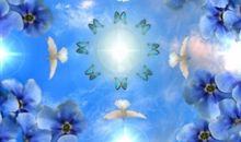 生命造物主_1200字