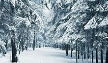 关于雪景的作文：美丽的雪景_300字