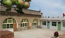 新农村新变化_900字