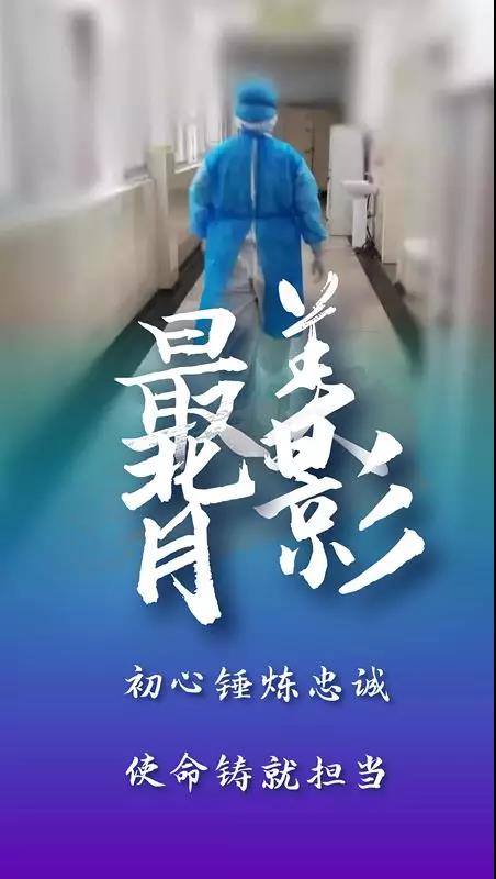 白色天使_800字
