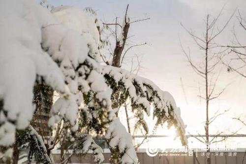 雪上的组成：雪乐趣_500字
