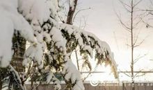 关于雪的作文：雪趣_500字