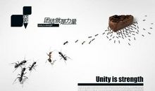 团结的力量_550字