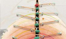 团结协作_1500字